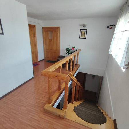 Camere De Inchiriat Edelweiss Dumbrava Rosie Bagian luar foto