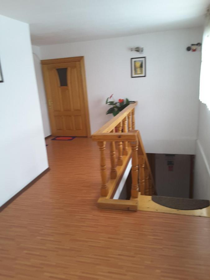 Camere De Inchiriat Edelweiss Dumbrava Rosie Bagian luar foto