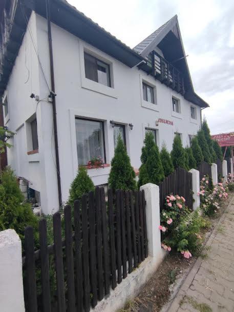 Camere De Inchiriat Edelweiss Dumbrava Rosie Bagian luar foto
